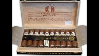 Oliva Chubby Cigar Orchant Seleccion  Taste Review [upl. by Gnolb]