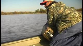 Fishing Tips chumming for catfish [upl. by Musihc]