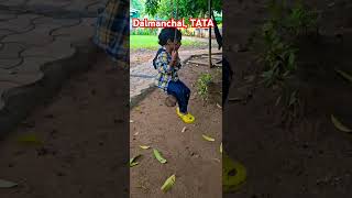 Forest me zulu forest Travel tata Dalmanchal dalma trending viralshorts newsong aainai [upl. by Odnalref]