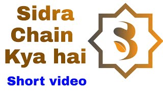 Sidra Chain Kya Hai  Pi Network vs Sidra Chain  what is Sidra chain app in Urdu Hindi [upl. by Anilos903]