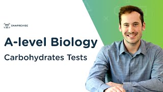 Carbohydrates Tests Benedicts amp Iodine Test  Alevel Biology  OCR AQA Edexcel [upl. by Studley]