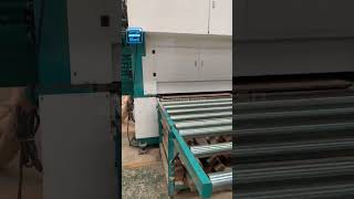 Gantry Horizontal Band Saw Machine For Cutting Zingana EBONY Wood [upl. by Nayd]