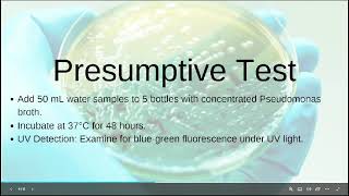 Bacteriological Analysis of Water for Detection of Pseudomonas aeruginosa [upl. by Odelinda644]