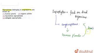 Saprophytes belonging to angioperms are known as  12  MINERAL NUTRITION  BIOLOGY  TRUEMAN B [upl. by Aretta258]