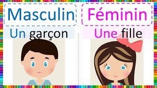 Apprendre le Masculin et le Féminin [upl. by Arama]