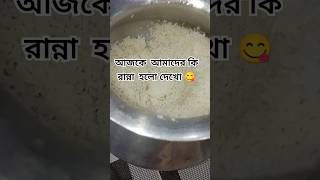 আজকে আমাদের কি রান্না হলো দেখো 😋 [upl. by Gardner118]