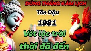 HIỂU THẤU MỆNH TRỜI TÂN DẬU 1981 CHỚP THỜI CƠ VÉT CẠN LỘC TRỜI  THÁNG 6 ÂM THỜI ĐẾN GIÀU CÓ SỐ 1 [upl. by Alten505]