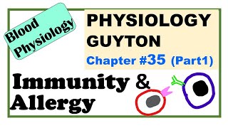 Ch35 Part1 Physiology Guyton  Immunity amp Allergy Acquired Immunity  LymphocytesBlood Physiology [upl. by Barvick584]