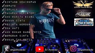 Bintang Kehidupan amp Legend Track DUGEM MUSIC  DJ Aceedz [upl. by Nevek]