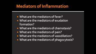 Mediators of Inflammation  Fever Pain Vasodilation Chemotaxis [upl. by Otha560]