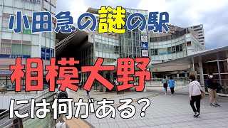 相模大野の住みやすさ。ローカルな雰囲気が魅力のベッドタウン【相模原市】 [upl. by Keelia56]