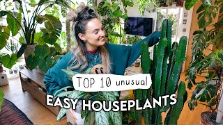 10 EASIEST Unusual Indoor Plants 🌱 Easy Houseplants Even YOU Cant Kill [upl. by Garth]