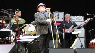 Van Morrison  Wild Night  live in Gothenburg 20180716 at Trädgårdsföreningen [upl. by Leicester188]