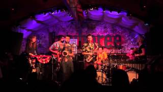 REPTILIAN MAMBO 4  Live at Jamboree Barcelona [upl. by Bodrogi343]