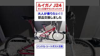 ルイガノJ24キッズマウンテンバイクを大人が乗りたい マウンテンバイク LOUISGARNEAU ジュニアバイク [upl. by Youngman]