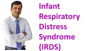 Maturation of Lung  Surfactant  Respiratory Distress Syndrome  Respiratory System Embryology [upl. by Jabin]