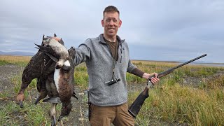 4 Days Hunting Ducks Geese amp Fishing Nome Alaska [upl. by Daraj106]