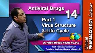 Antiviral Chemotherapy  Part 1 virus structure and life cycle [upl. by Ezzo]