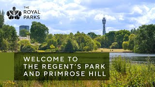 Discover The Regent’s Park amp Primrose Hill one of London’s Royal Parks [upl. by Idisahc694]