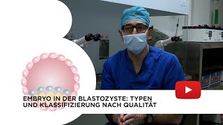 Embryo in der Blastozyste Typen und Klassifizierung nach Qualität [upl. by Mackoff]