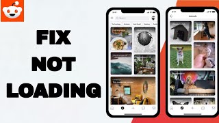 How To Fix And Solve Not Loading On Reddit App  Easy Fix [upl. by Ateloiv]