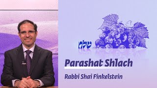 Parashat Shlach  Leadership styles  Rabbi Shai Finkelstein [upl. by Aikemit947]