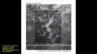 Markus Masuhr  04 Rhythmic Resonance of the Elemental Symphony [upl. by Accebor]