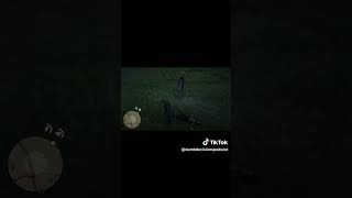 Aint that a kick in the head 🐴reddeadredemption2 funnyhorse kickedinthehead asmr dumbdecisions [upl. by Essinger465]