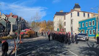 November 11 2024 remembrance ceremony at the Sargents memorial in Downtown StJohns NL canada [upl. by Melonie]