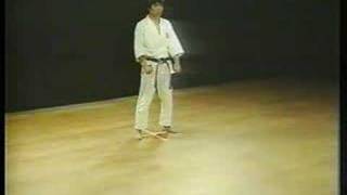 Heian Godan  Shotokan Karate [upl. by Rramo256]