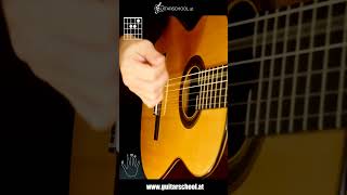 Rumba flamenca Solo Guitar  Tutorial with Chords [upl. by Ayoral]