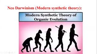 NeoDarwinism II Modern Synthetic Theory [upl. by Sosthina741]