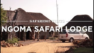 Ngoma Safari Lodge Chobe National Park  Safari365 [upl. by Cahra776]