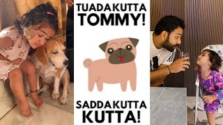 Tuada kutta tommy  Feelings  Ft Samaira Sharma amp Rohit Sharma [upl. by Farant]