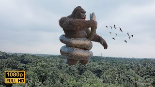 King Kong vs Big Snake Epic Fight [upl. by Auqenes946]