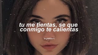 Tu Me Tientas  Ñengo Flow Letra [upl. by Enileuqcaj124]