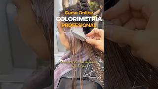 🌈COLORIMETRÍA CAPILAR balayage cursoonline estilistas colorimetria loreal mezclasdetintes [upl. by Kinemod]