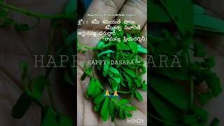 Happy Dasara Wishes to all Godly Creatures festival dasara devotional enjoy bird tree [upl. by Nowaj]