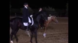 east meets west reining vs dressage [upl. by Elyagiba]