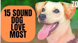 15 Sounds Dogs Love To Hear The Most  Sound Effects HD [upl. by Gignac]