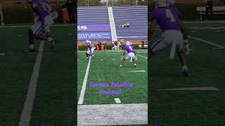 Furman Paladins Football vs Wofford furmanjoust furman football greenvillesm [upl. by Eenaffit]