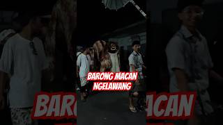 Barong Macan Ngelawang di Bungkuan budayabali shorts [upl. by Ainoet45]