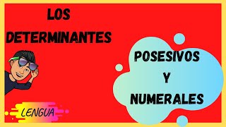 Los DETERMINANTES POSESIVOS Y NUMERALES [upl. by Buine136]