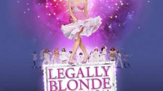 Legally Blonde  Positive With Backing Vocals KaraokeInstrumental [upl. by Rochette]