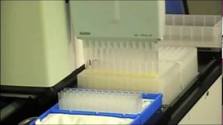 AutoPlasmid MEA Miniprep and Midiprep Plasmid Prep [upl. by Devi]