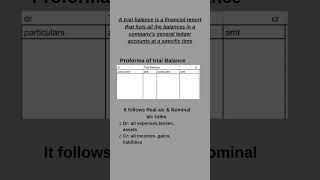 Trial Balance accounting [upl. by Reiner]