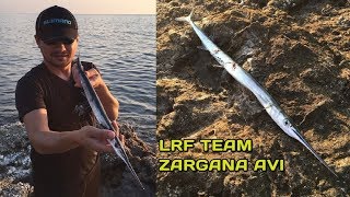 Jig ile ZARGANA AVI  LRF TEAM  Savage Gear Psycho Sprat Blue Zebra Glow 10g  Light Rock Fishing [upl. by Nwahsad]