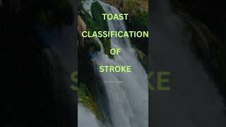 TOAST Classification of Stroke classification stroke ischemicstroke toast learning [upl. by Ronyam]