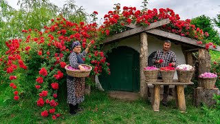 🌹 Traditional Rose Jam Homemade Recipe from Fresh Roses [upl. by Hatch]