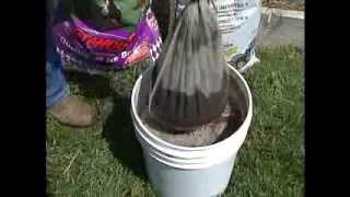 How to make Compost Tea  Jim Zamzows Garden Tip 11 [upl. by Odranreb]